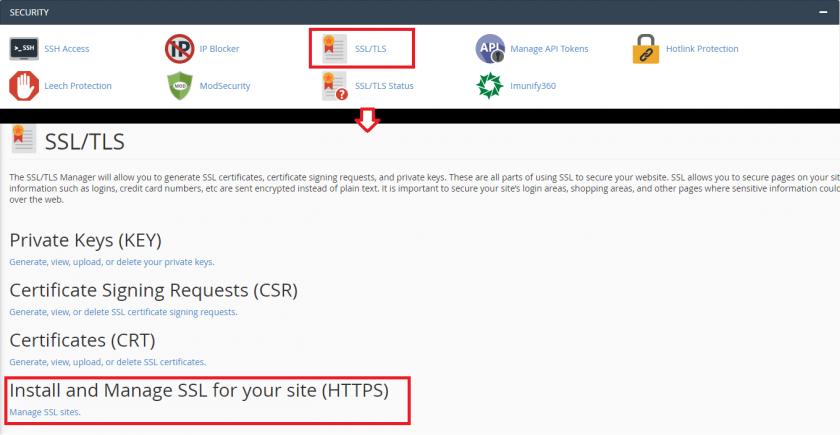 Điểm ổn định và chứng chỉ SSL.